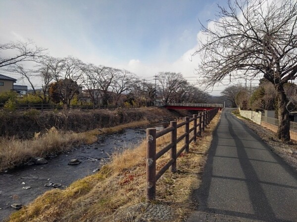 丸太っぽい柵のある川の土手の道