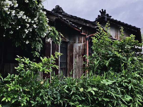 廃屋