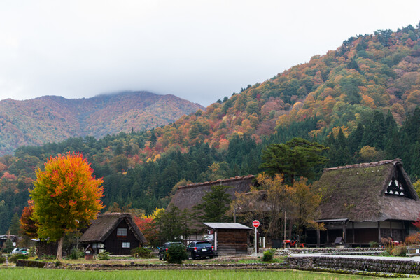 晩秋の白川郷Ⅲ