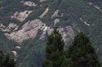 越後湯沢の山奥にて １０