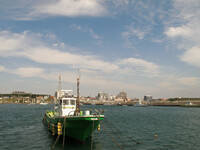 今日の茅ヶ崎漁港