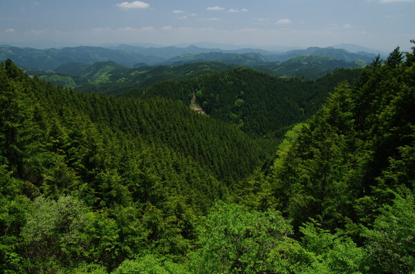 高原の風Ⅱ