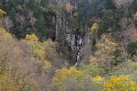 山奥の滝