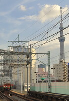 東武鉄道８１１１号旧塗装色編成と東京スカイツリー
