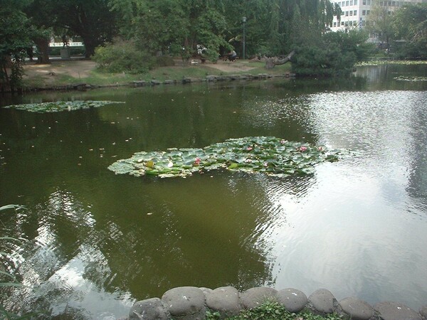 池