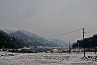 　少しは雪国らしく・・。