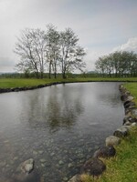 人工の小川と水面に映る木