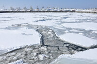 港の中の流氷