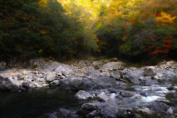 渓谷の秋彩