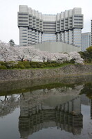 旧赤坂プリンスホテルと桜