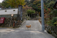 岩井温泉地区の愛宕山入り口。