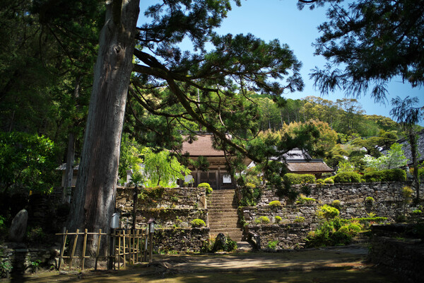 かなり町はずれの