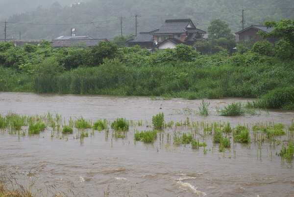 蒲生川も濁流です