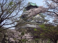 【桜】大阪城