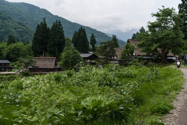 五箇山_相倉合掌造集落２