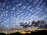 【陽光】大きなぁ〜〜空