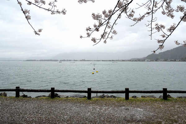 雨の琵琶湖
