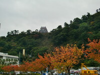 熱海城と桜紅葉