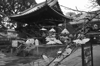 歴史