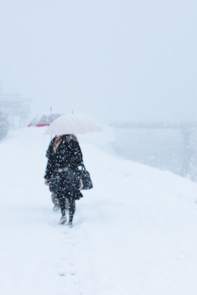 雪の降るまちを　2017