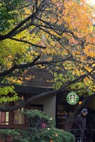 秋の喫茶店