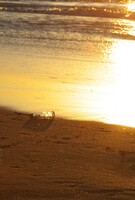 【トキメキの色】輝く浜辺