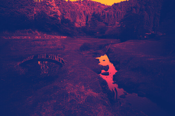 水たまり