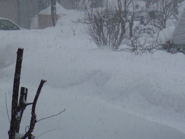 【う】ーっ！大雪