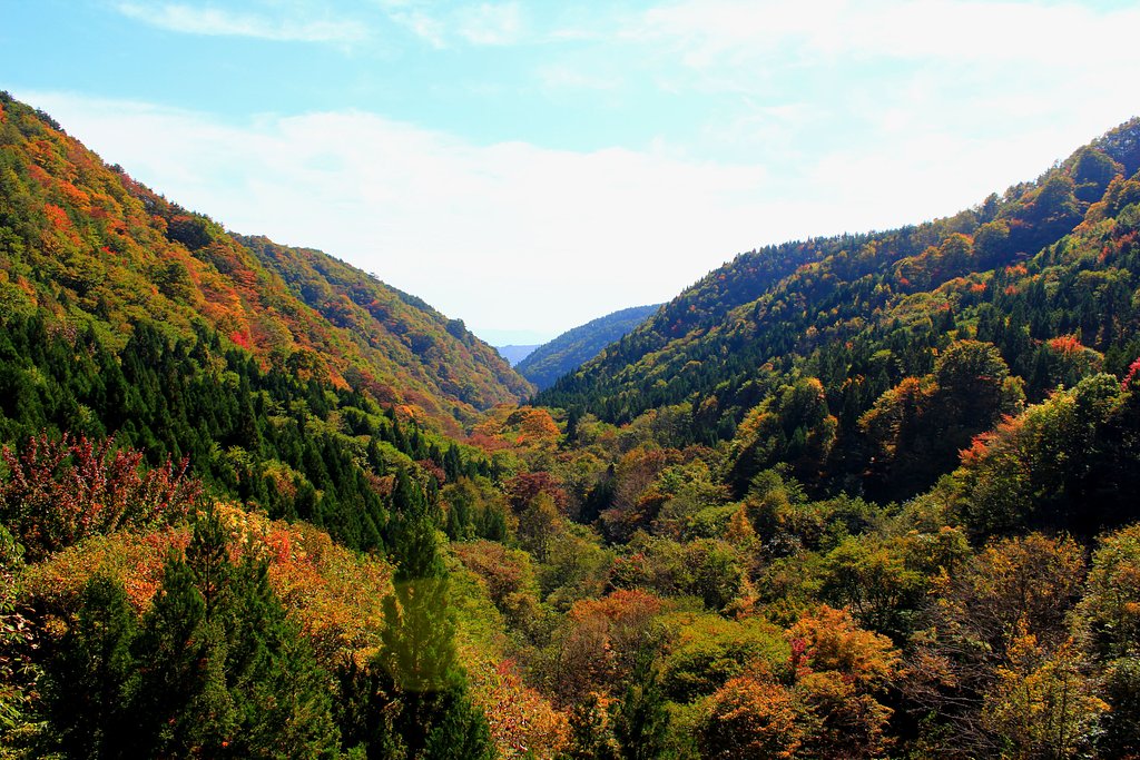 紅葉迫る。