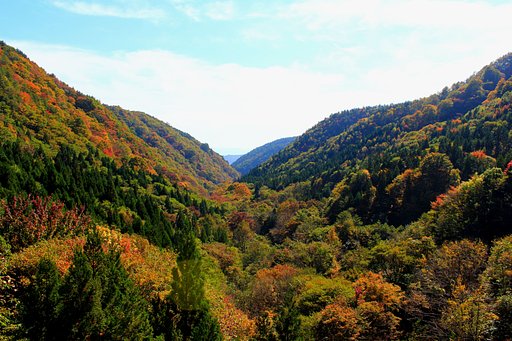 紅葉迫る。
