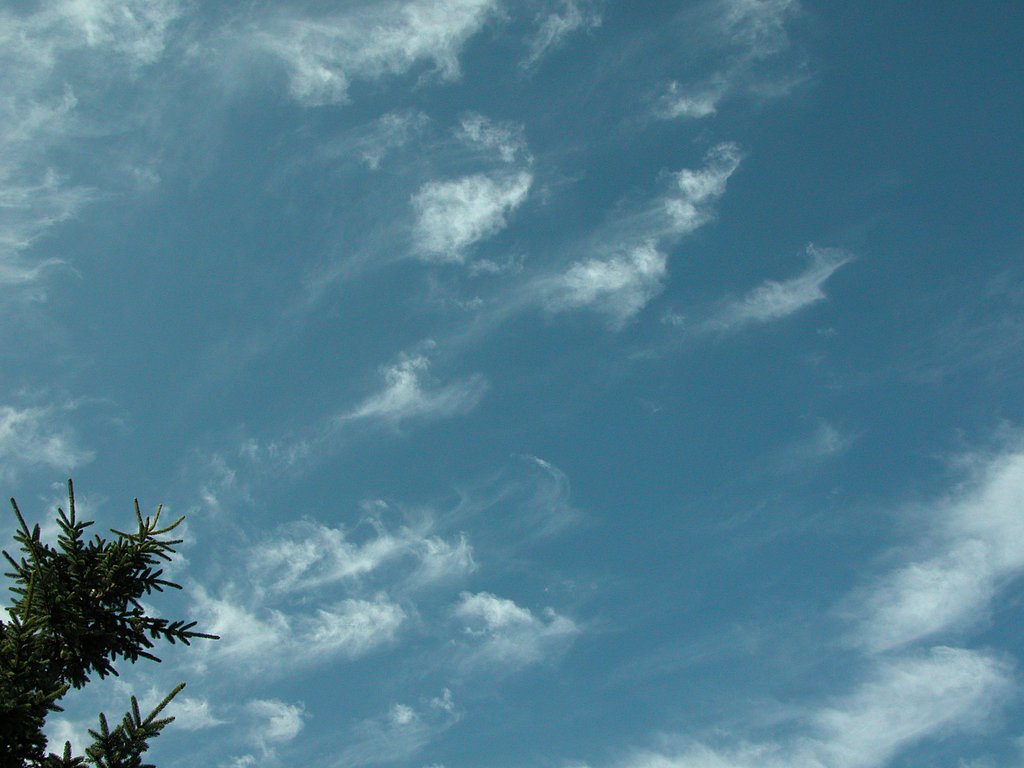 秋空