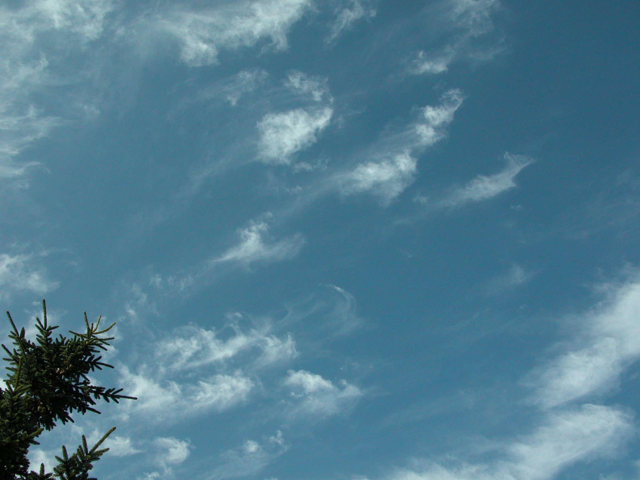秋空