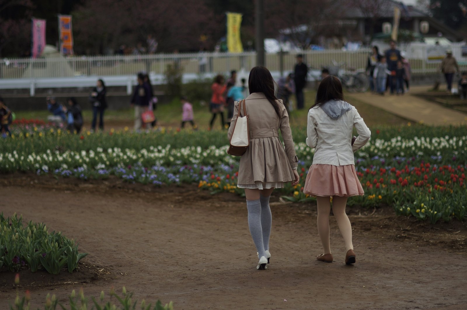 ズミルクスＭ75/1.4 by Nex5n