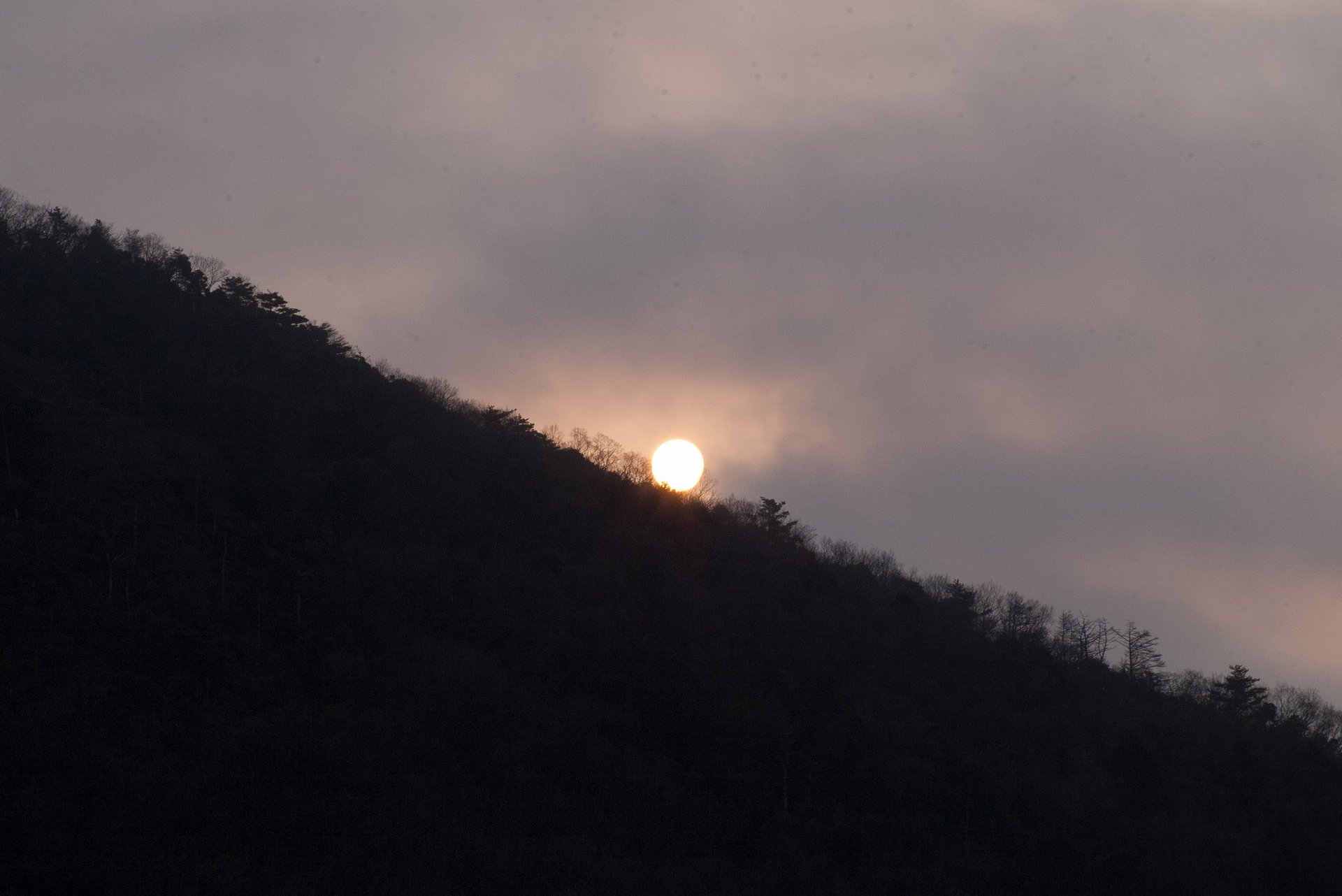 太陽のシルエットが撮れました。