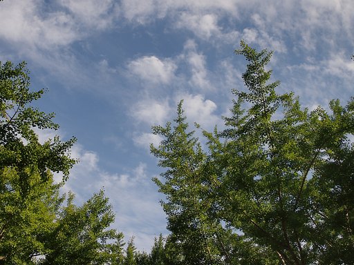 気持ちの良い【空】