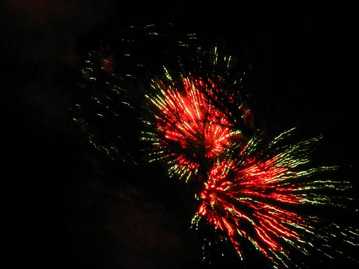 夜〔空〕の華