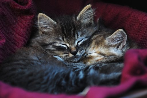 抱き合ってオネンネ②
