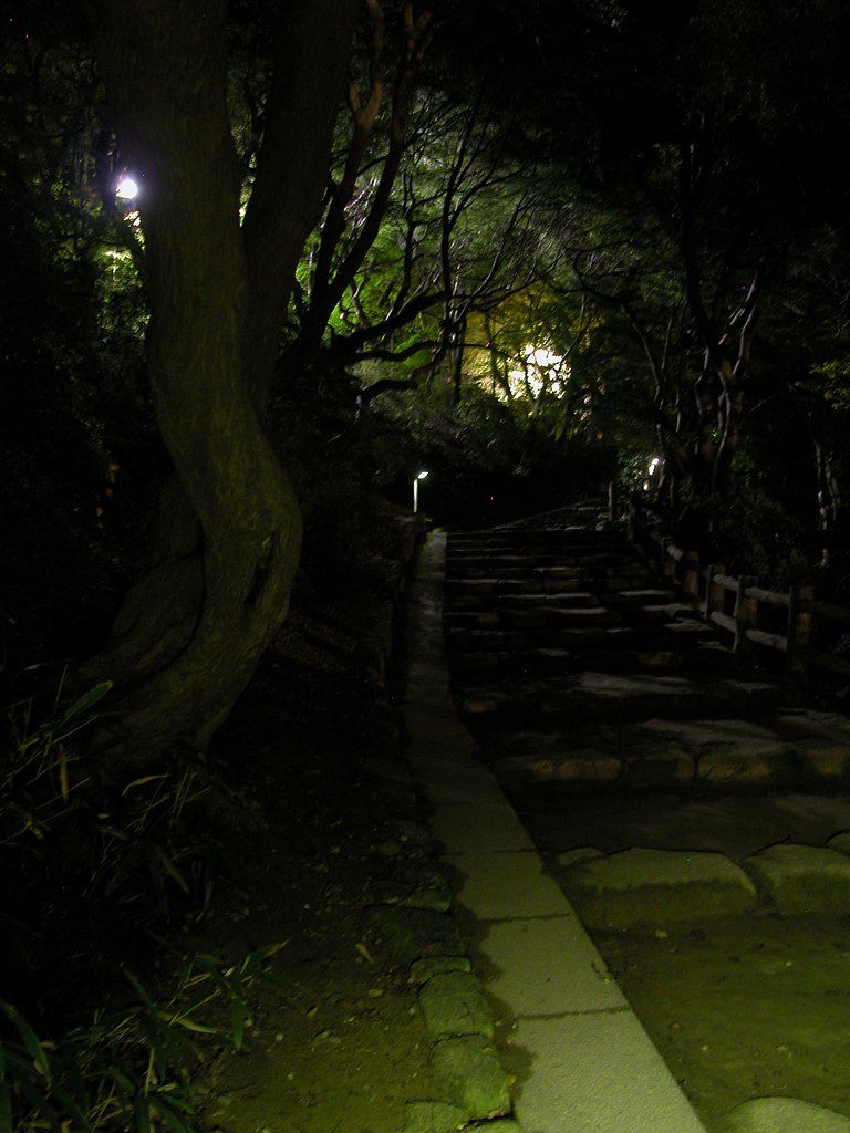 夜の公園