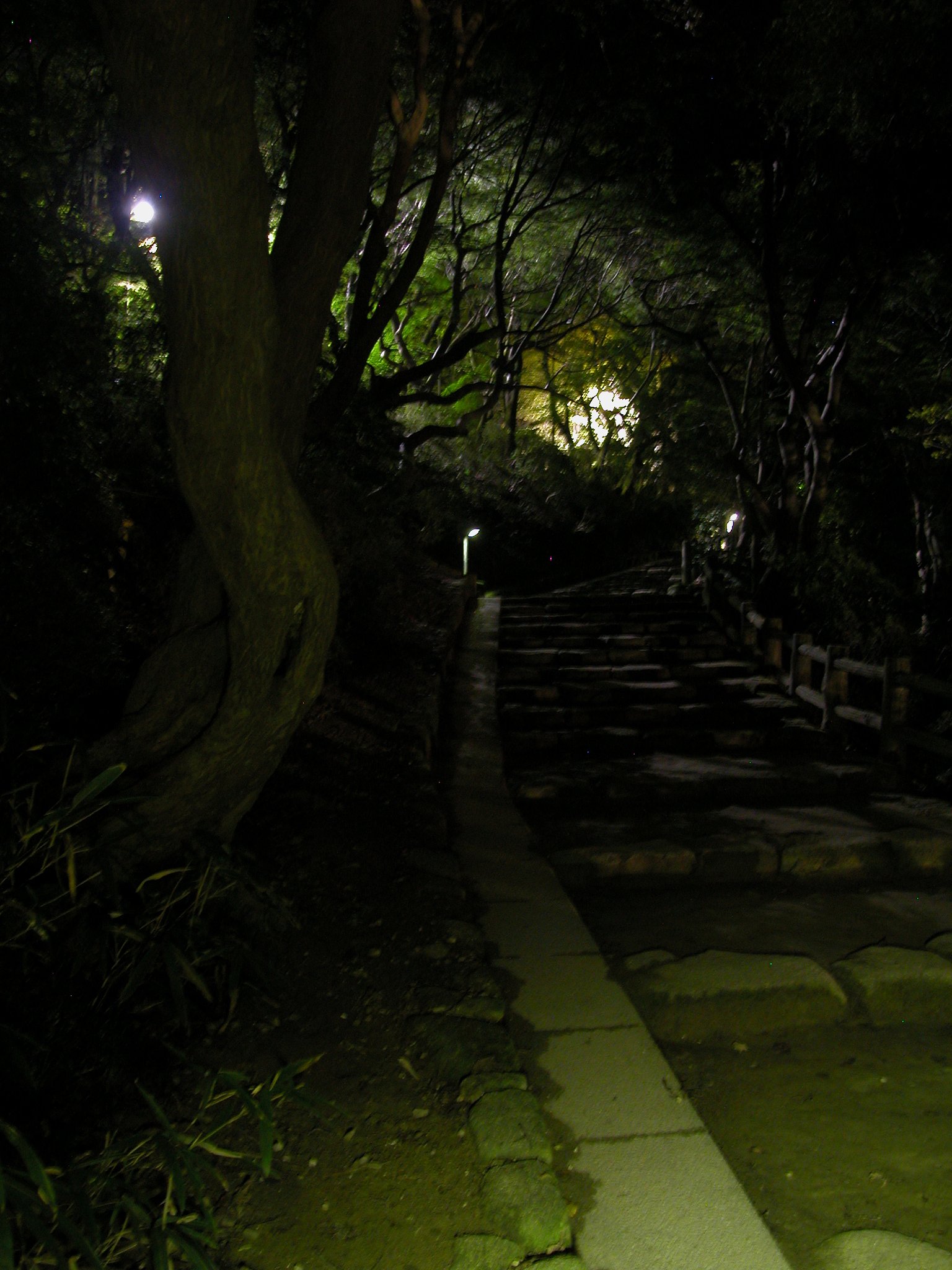 夜の公園