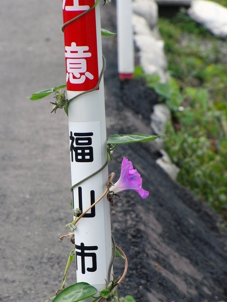 まだまだ元気