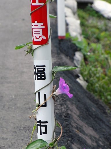 まだまだ元気