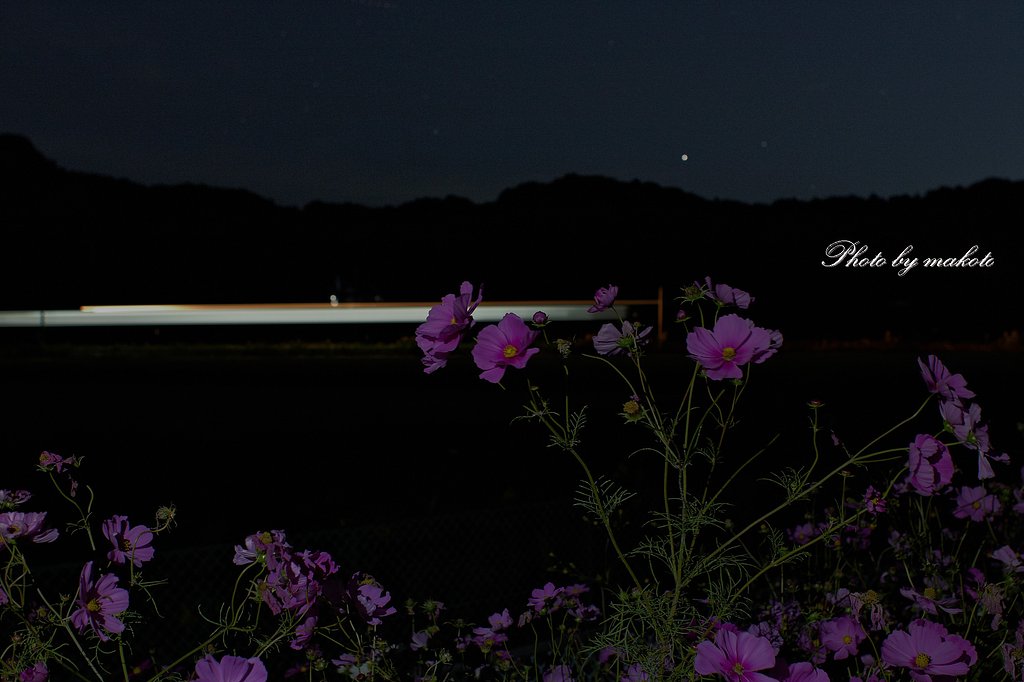 鉄・★・花・・