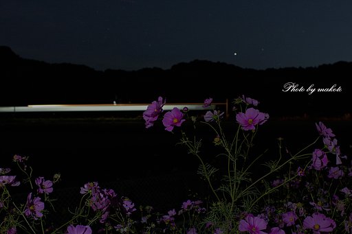 鉄・★・花・・