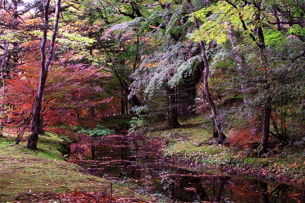 軽井沢の借景