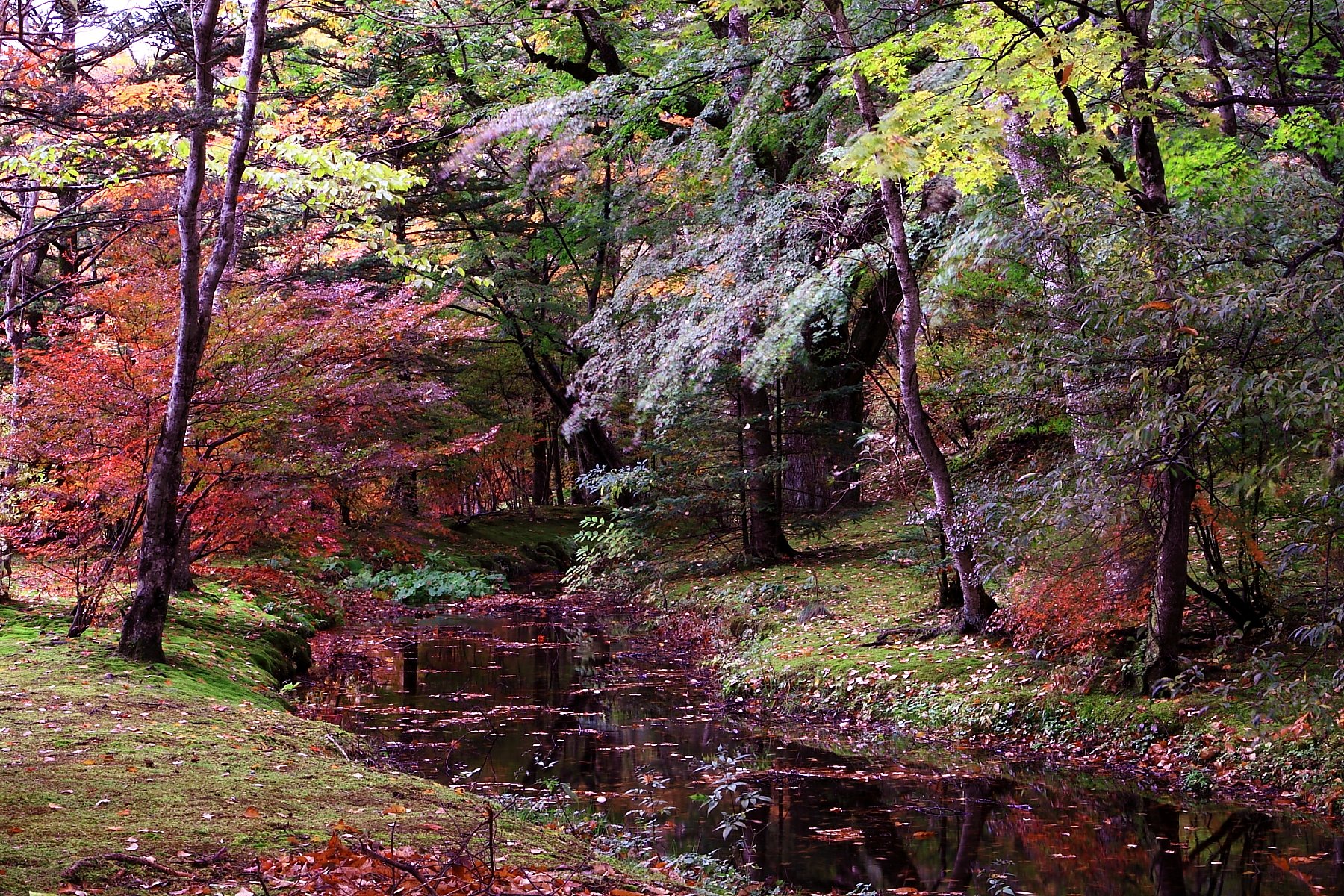 軽井沢の借景
