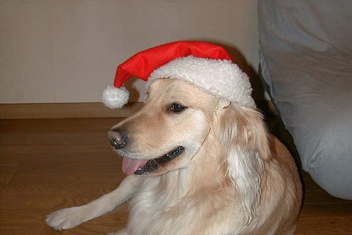 Happy X'mas to you ！　by tink