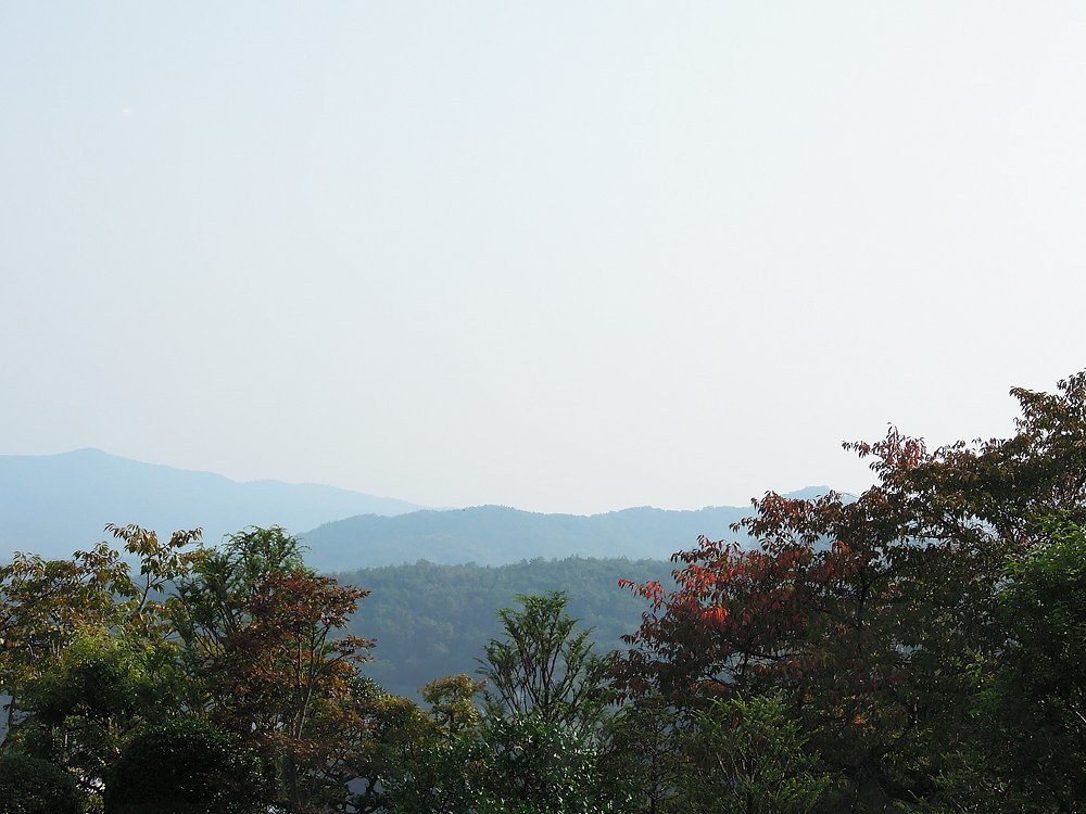 【紅】葉の端くれ