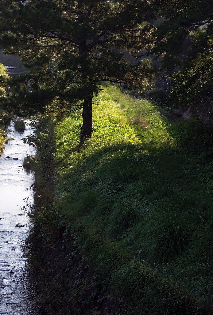 【長】い物の風景