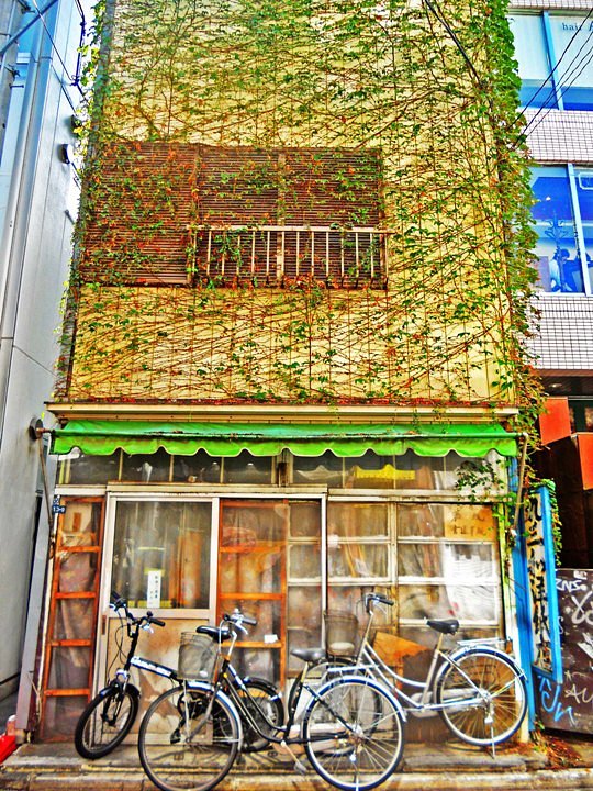なんとなく・・・HDR風