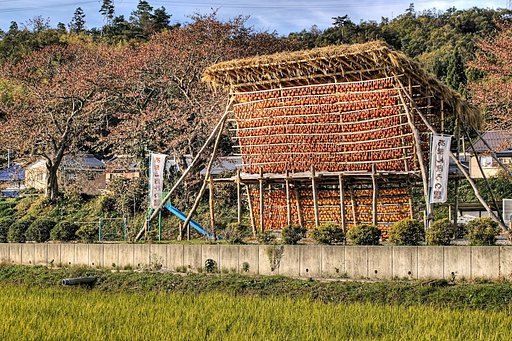 あまんぼうの里②